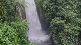 Jakarta Bogor Botanical Garden, Waterfall and Rice Terrace