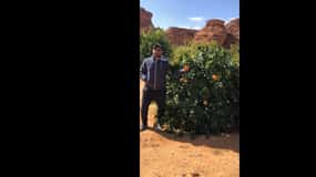 From Jeddah or Mecca: AlUla 2-Day Private Trip with Farm …