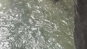Canyoning per famiglie: Opzione Vione facile