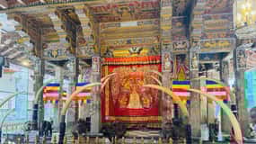 Vanuit Colombo: Dagtrip Kandy en Pinnawala