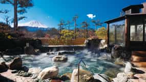 Tokyo: Mt. Fuji Day Trip with Hot Springs & Local Cuisine