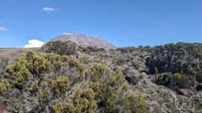 Moshi: Escalada do Kilimanjaro Rota de Marangu Tour guiado