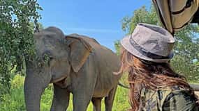 Vanuit Ella: Yala Safari met Tangalle/Mirissa/Galle Drop-off