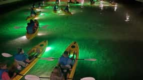 St. Pete Beach: Glass Bottom Kayak Fish Feeding Night Tour