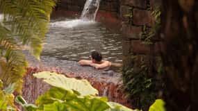 Private - All of Furnas, Tea Plantation, Beija included