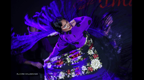 Mallorca: Flamencoshow på Tablao Flamenco Alma med paella
