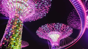 Jardines de la Bahía de Singapur con ticket de acceso y recogida