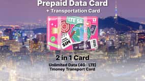 Incheon Airport: Traveler SIM & T-money Transportation Card