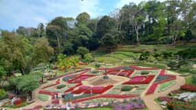 Chiang Rai: Mountains Discovery Doi Mae Salong & Doi Tung