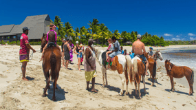 Visite de la plage de Natadola avec bain de boue et source thermale