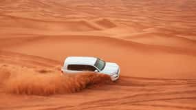 Dubai: Experiência Premium de Safari no Deserto, Vida Selvagem e Oásis