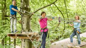 Rope Park Interlaken: Climbing Adventure with Entry Ticket