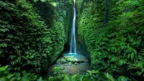 Bali: Jatiluwih Rice Terraces, Water Temple, Waterfall Tour