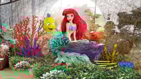 Singapore: Disney Garden of Wonder at Floral Fantasy