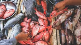 Bali: Jimbaran Seafood Market Tour with Sunset Dinner