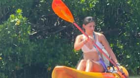 Tierra Verde: Shell Key Mangrove Private Guided 1.5 hr Tour