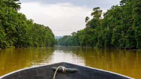 Sandakan: 3-dages Kinabatangan River Wildlife Adventure