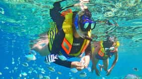 From Jakarta : Private Tour 5 Days 4 Night Jakarta Explore