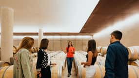 Escursioni a Milano: Tour del vino Barolo con autista privato