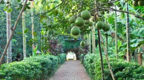 From Hue: 1 day COOKING CLASS IN THUY BIEU VILLAGE