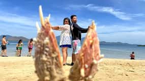 Honda Bay Island: Island Tour with Lunch & Transfer
