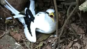 Cousin: 3 hours guided visit UNESCO special bird reserve.