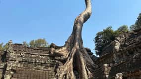 Siem Reap Japon Rehber ile Angkor Tam Günlük Grup Turu