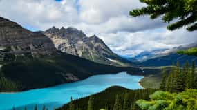 Banff Town: Lake Louise Moraine, Glacier, Peyto & Bow Lake