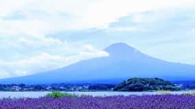Tokyo: Mount Fuji and Lake Kawaguchi Scenic 1-Day Bus Tour