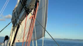 Stintino: Avventura in barca a vela con sapori autentici a bordo