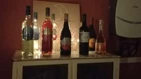 From Alicante: Best Winery Tour and Wine Tasting