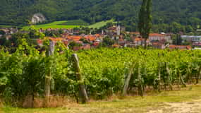 Maribor & Steiermark-tur med vinsmagning
