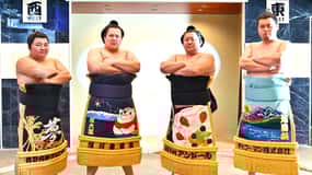 Tokyo:Luxury Sumo Show Experience & Deluxe Japanese cuisine