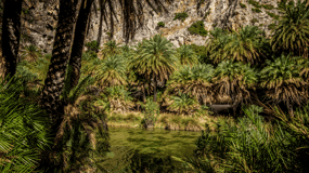 From Heraklion: Preveli Natural Palm Forest & Exotic Beach