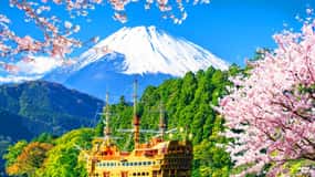 From Tokyo: Mount Fuji Hakone, Lake Ashi, Ropeway 1-Day Tour