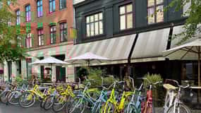 Copenhagen: City Highlights Guided Bike Tour - Small Groups