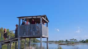 From Durres: Karavasta Lagoon Adventure Boat Tour & Wildlife