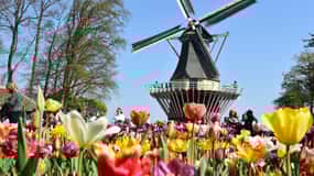 Bruxelles: Tour di un giorno in Olanda con guida a Keukenhof e ai mulini a vento