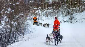 From Tromsø: Dog Sledding Adventure in Tamokdalen