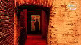Santiago: Concha y Toro Vineyard Premium Tour