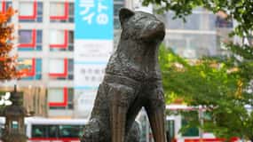 Tokyo : visite à pied du carrefour de Shibuya et des rues cachées