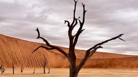 Sossusvlei: Excursión de un día