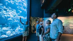 Cairns: Night at the Aquarium Guided Tour & 2 Course Dinner