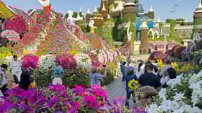 Dubai: Miracle Garden Ticket met transfer