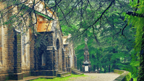 Mcleodganj Nature Trek (3 Hours Guided Walking Tour)