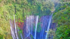 Private Tour : Jakarta - Bali 13 Day 12 Night with Hotel