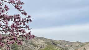From Samarkand: Shahrisabz Private Day Tour