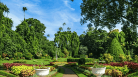 From Colombo: Kandy and Tea Plantations Day Trip