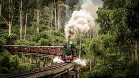 From Melbourne: Puffing Billy & Penguins Combo Tour Package