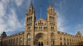 Londres: tour guiado pelo Museu de História Natural